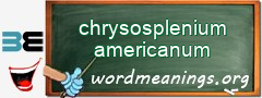 WordMeaning blackboard for chrysosplenium americanum
